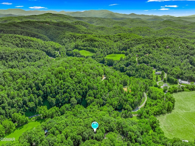 1918 Charles Lewis Way, Sevierville, TN 37876 - bird's eye view of a forest