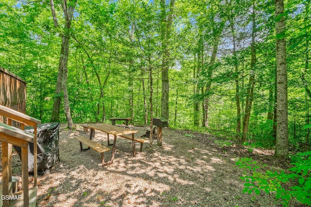 1918 Charles Lewis Way, Sevierville, TN 37876 - view of yard