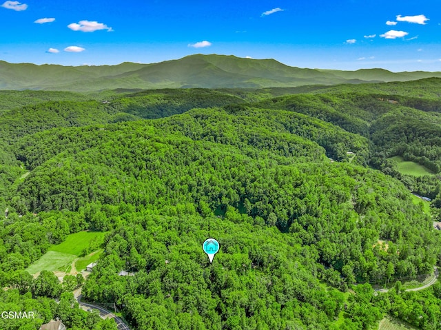 1918 Charles Lewis Way, Sevierville, TN 37876 - bird's eye view of a forest and a mountainous background