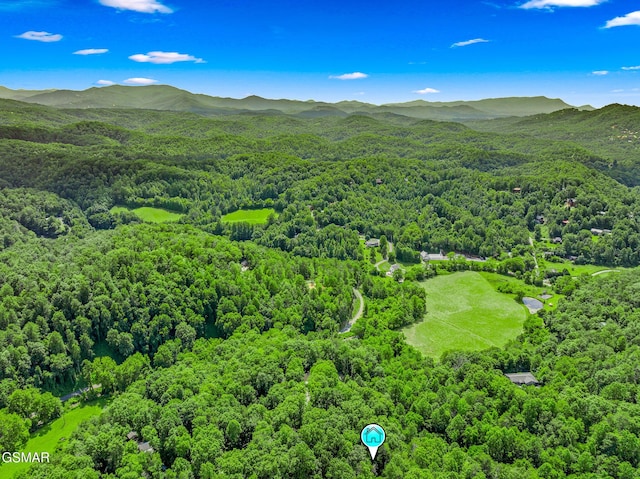 1918 Charles Lewis Way, Sevierville, TN 37876 - aerial view of a forest and a mountainous background