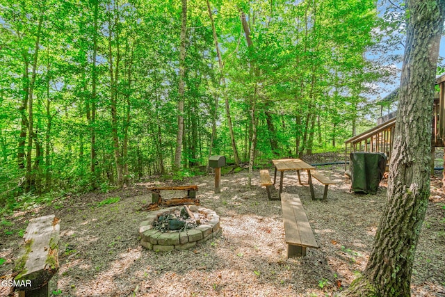 1918 Charles Lewis Way, Sevierville, TN 37876 - view of yard with an outdoor fire pit