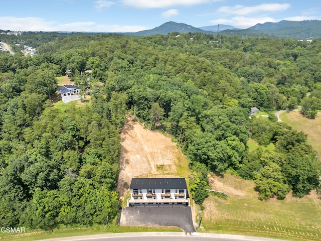 3141 Teaster Ln Unit 1, Pigeon Forge, TN 37863 - view from above of property with a forest and a mountain backdrop