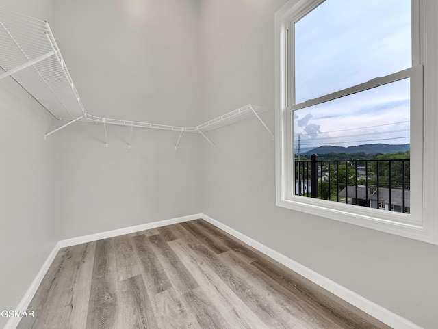 3141 Teaster Ln Unit 1, Pigeon Forge, TN 37863 - spacious closet featuring wood finished floors