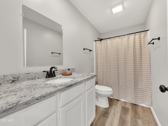 3141 Teaster Ln Unit 1, Pigeon Forge, TN 37863 - bathroom with wood finished floors, vanity, and a shower with curtain