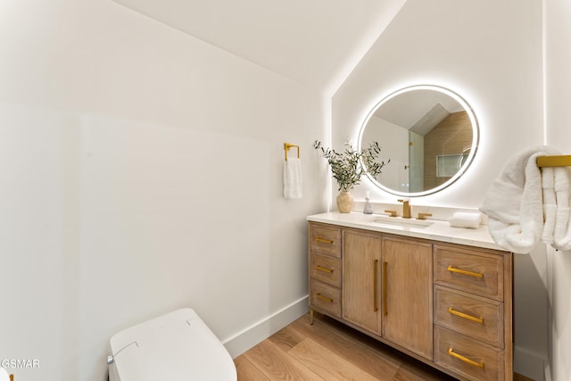 1163 Reedmont Way, Sevierville, TN 37876 - bathroom with vanity, wood finished floors, and lofted ceiling