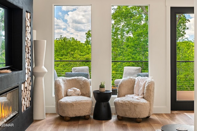 1163 Reedmont Way, Sevierville, TN 37876 - sitting room featuring a glass covered fireplace, wood finished floors, and healthy amount of natural light