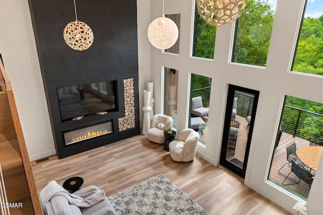 1163 Reedmont Way, Sevierville, TN 37876 - living area with a glass covered fireplace, wood finished floors, and a towering ceiling