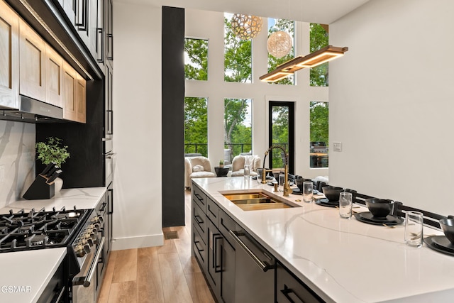 1163 Reedmont Way, Sevierville, TN 37876 - kitchen with stainless steel appliances, light stone countertops, light wood finished floors, under cabinet range hood, and a towering ceiling