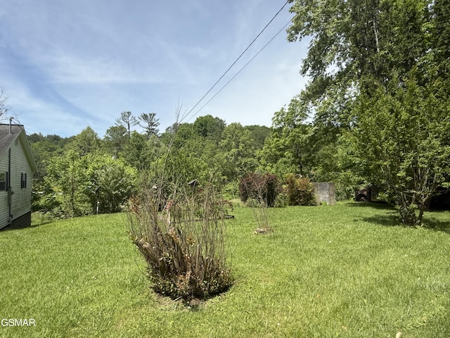 3380 Grassy Fork Rd, Hartford, TN 37753 - view of green lawn