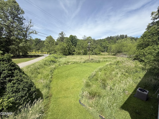 3380 Grassy Fork Rd, Hartford, TN 37753 - view of yard