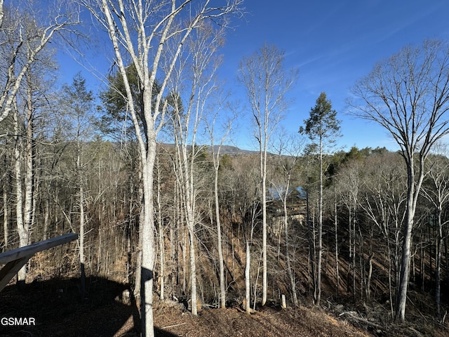 2749 Owls Cove Way, Sevierville, TN 37862 - photo 32