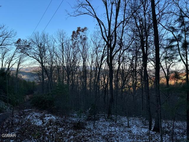 LOT2 High Ridge Way, Sevierville, TN 37862 - photo 10