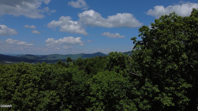 LOT2 High Ridge Way, Sevierville, TN 37862 - photo 6