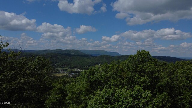 LOT2 High Ridge Way, Sevierville, TN 37862 - photo 3