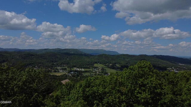 LOT2 High Ridge Way, Sevierville, TN 37862 - photo 4