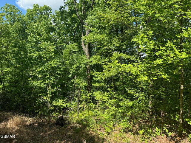 LOT2 High Ridge Way, Sevierville, TN 37862 - photo 17