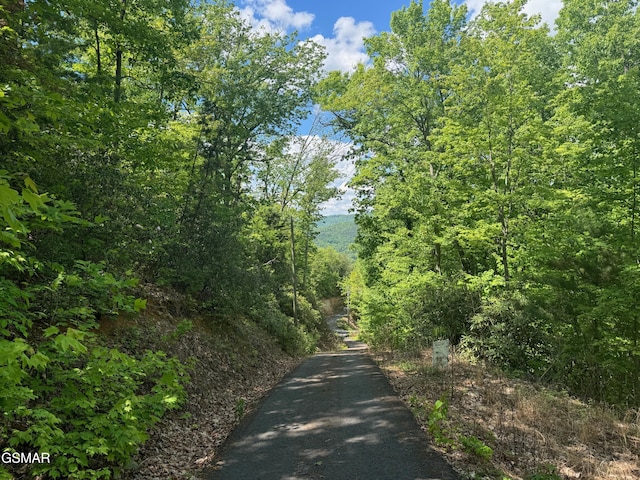LOT2 High Ridge Way, Sevierville, TN 37862 - photo 2