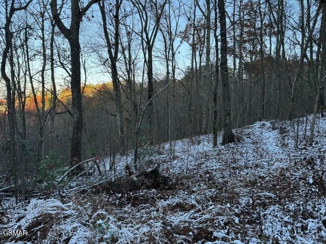 LOT2 High Ridge Way, Sevierville, TN 37862 - photo 9