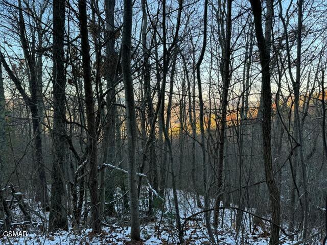 LOT2 High Ridge Way, Sevierville, TN 37862 - photo 11