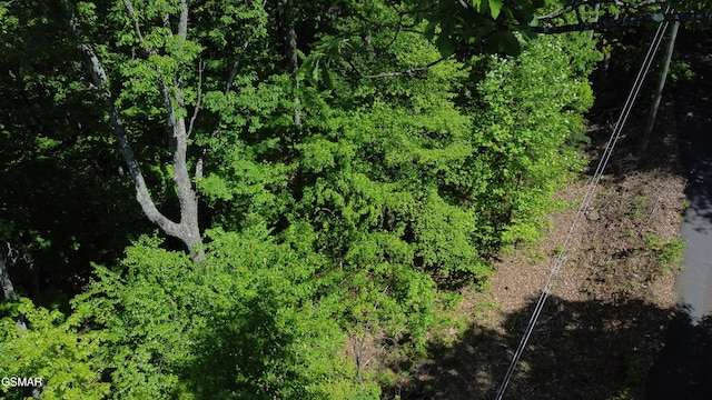 LOT2 High Ridge Way, Sevierville, TN 37862 - photo 15