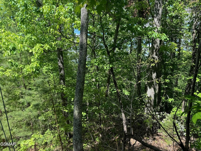 LOT2 High Ridge Way, Sevierville, TN 37862 - photo 16