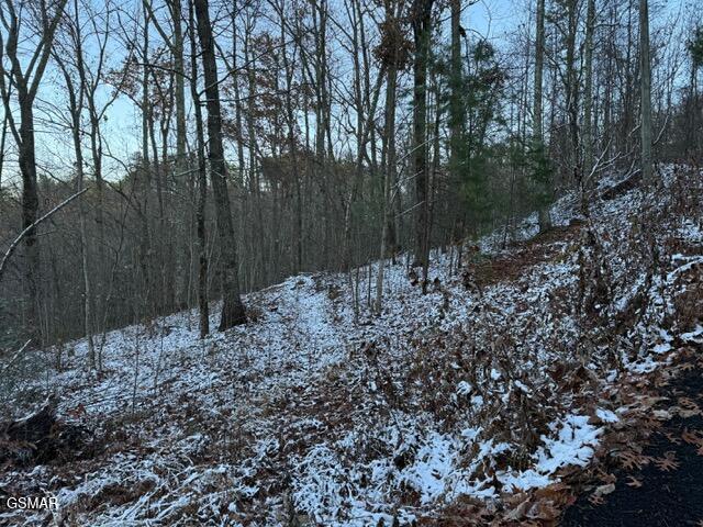 LOT2 High Ridge Way, Sevierville, TN 37862 - photo 8