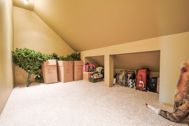 bonus room featuring carpet and vaulted ceiling