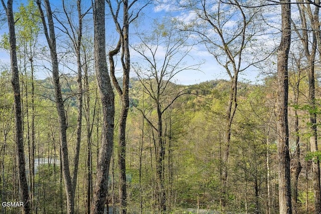 view of landscape