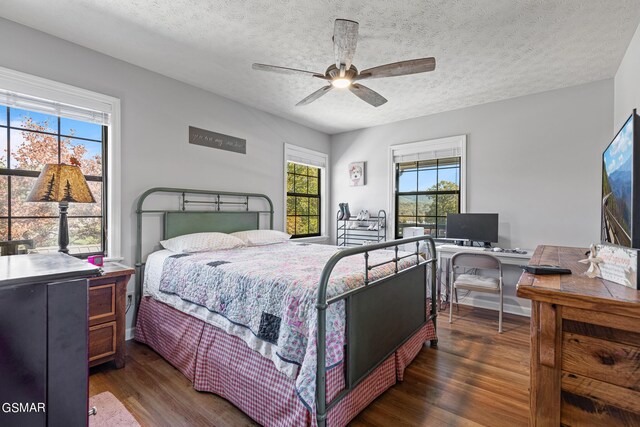 3225 Laurelwood Ave, Sevierville, TN 37862 - bedroom featuring wood finished floors, a textured ceiling, and multiple windows