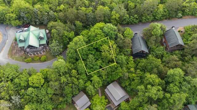 LOT115 Alpine Mountain Way, Pigeon Forge, TN 37863 - photo 6