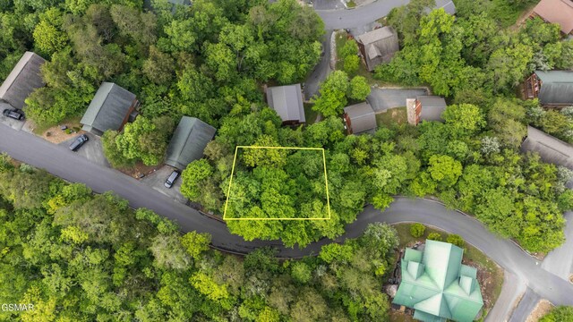 LOT115 Alpine Mountain Way, Pigeon Forge, TN 37863 - photo 7