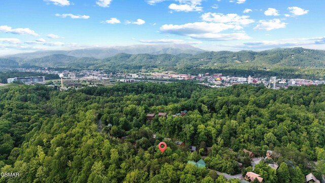 LOT115 Alpine Mountain Way, Pigeon Forge, TN 37863 - photo 5