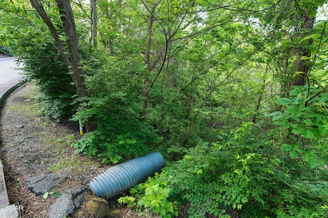 LOT115 Alpine Mountain Way, Pigeon Forge, TN 37863 - photo 2
