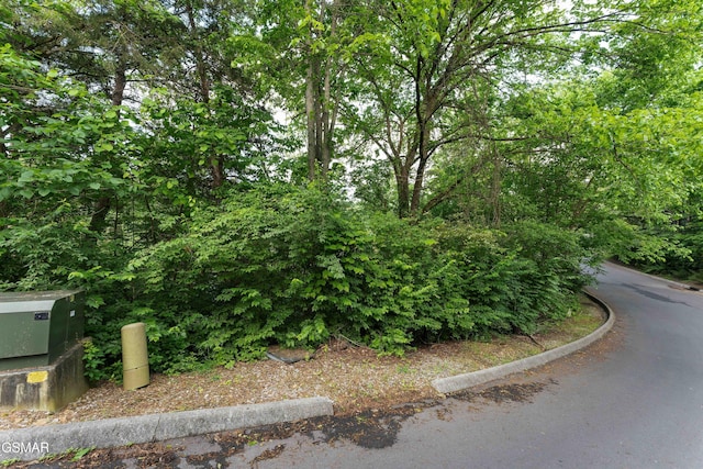 LOT115 Alpine Mountain Way, Pigeon Forge, TN 37863 - photo 1