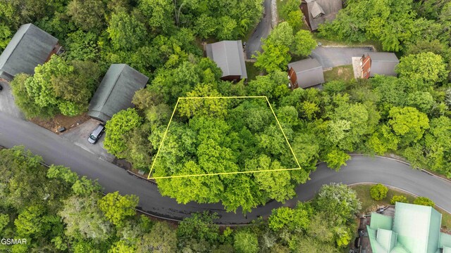 LOT115 Alpine Mountain Way, Pigeon Forge, TN 37863 - photo 8