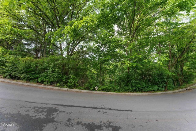 LOT115 Alpine Mountain Way, Pigeon Forge, TN 37863 - photo 3