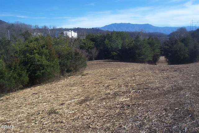 TR4 Veterans Blvd, Pigeon Forge TN, 37863 land for sale