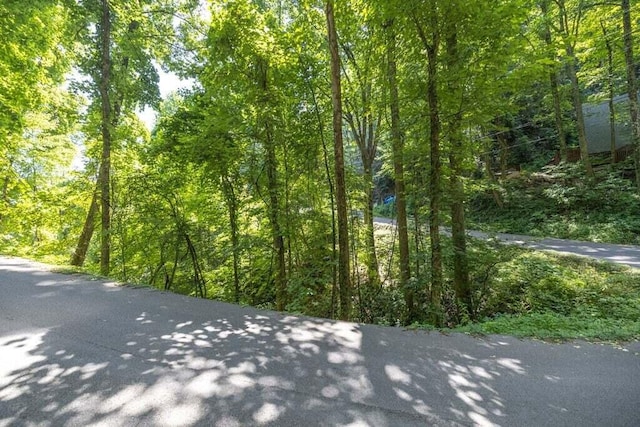 LOT76 Luzerne Dr, Gatlinburg TN, 37738 land for sale