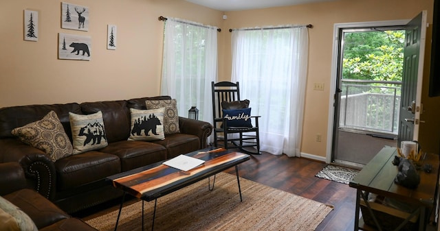 living room with dark hardwood / wood-style floors and a wealth of natural light