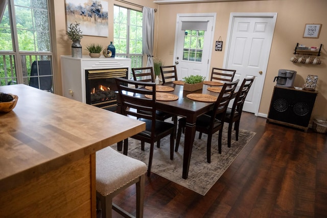 dining space with dark hardwood / wood-style floors