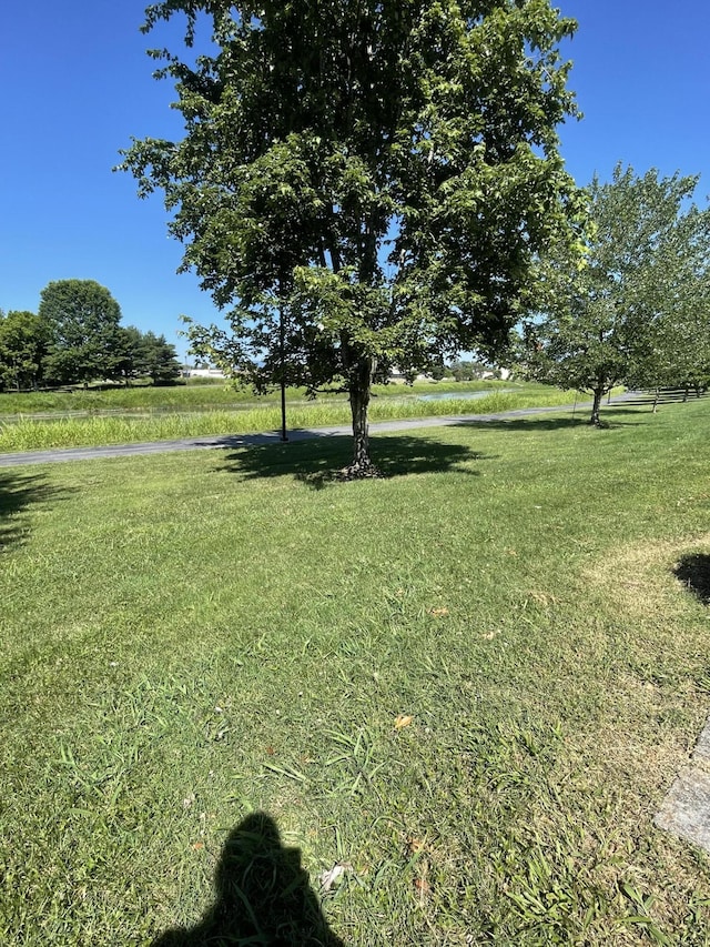 view of yard featuring a rural view