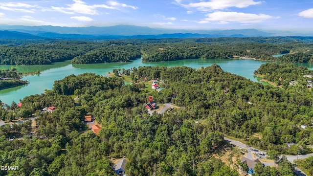 bird's eye view with a view of trees and a water and mountain view