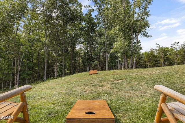 view of yard with a wooded view