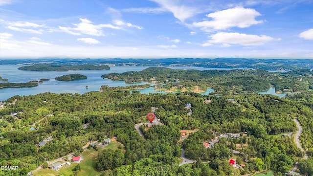 bird's eye view featuring a water view and a view of trees