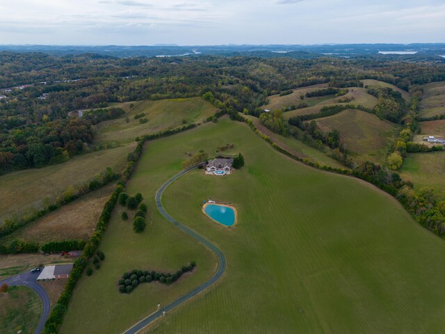 bird's eye view