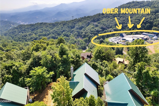 1266 Bear Cub Way, Gatlinburg, TN 37738 - photo 2