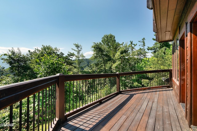 1266 Bear Cub Way, Gatlinburg, TN 37738 - photo 28