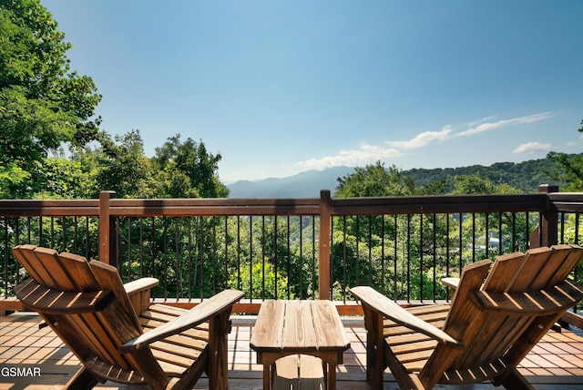 1266 Bear Cub Way, Gatlinburg, TN 37738 - photo 3