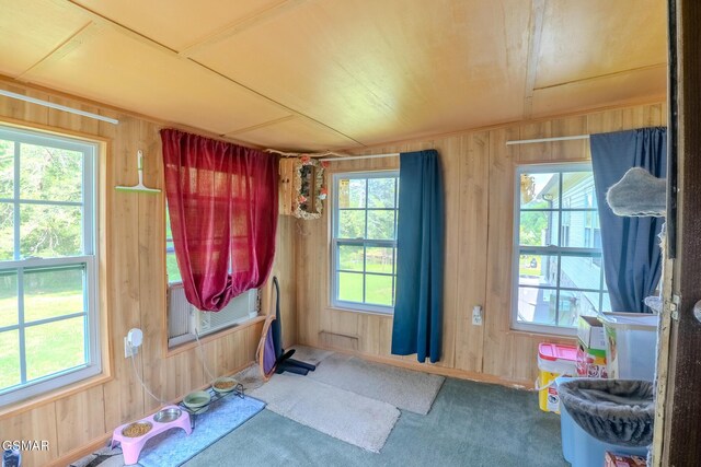 238 Little Notchey Creek Rd, Madisonville, TN 37354 - photo 27