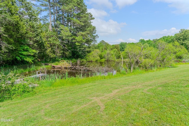 238 Little Notchey Creek Rd, Madisonville, TN 37354 - photo 39